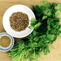 How to replace Coriander Oil in hair care? What to use instead?